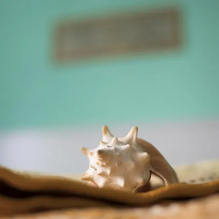 Miroca Alojamento de Acomodação e Pequeno-almoço 3*