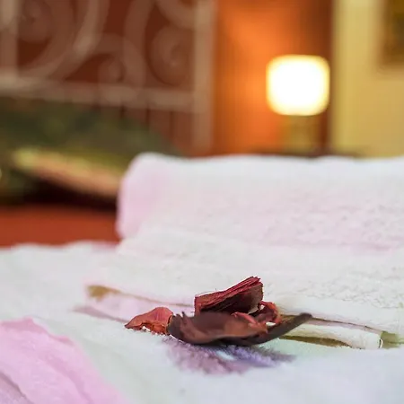 Bed & Breakfast Miroca